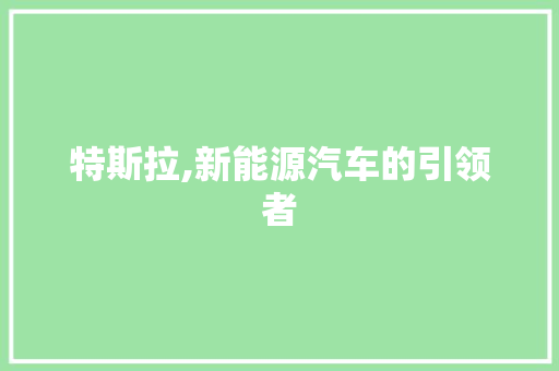 特斯拉,新能源汽车的引领者