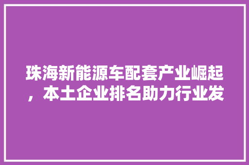 珠海新能源车配套产业崛起，本土企业排名助力行业发展
