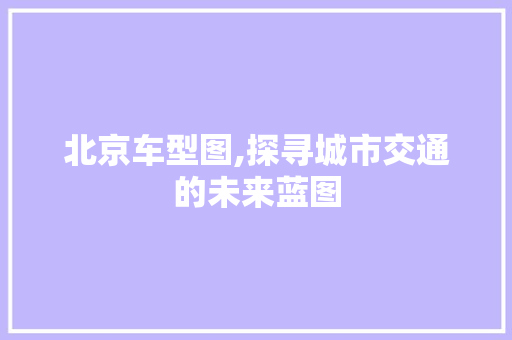北京车型图,探寻城市交通的未来蓝图