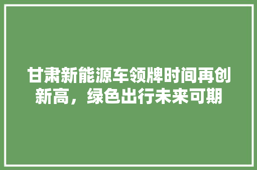 甘肃新能源车领牌时间再创新高，绿色出行未来可期 车灯配件