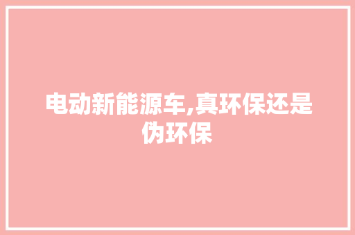 电动新能源车,真环保还是伪环保