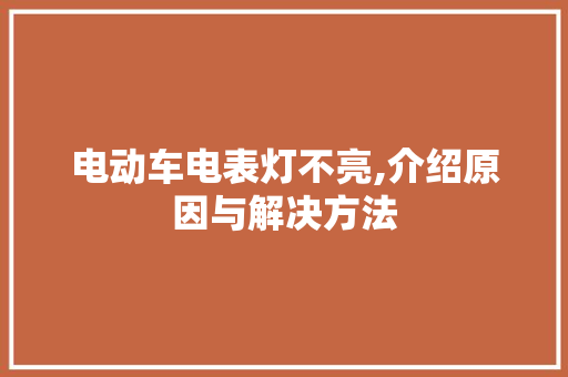 电动车电表灯不亮,介绍原因与解决方法 变速箱配件