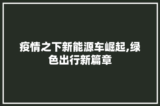 疫情之下新能源车崛起,绿色出行新篇章