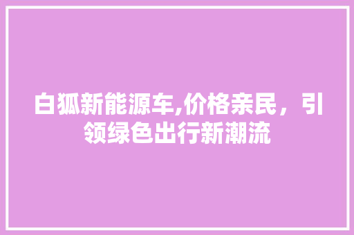 白狐新能源车,价格亲民，引领绿色出行新潮流
