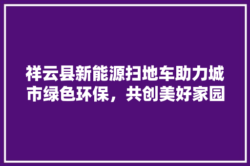 祥云县新能源扫地车助力城市绿色环保，共创美好家园