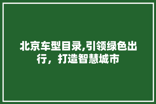 北京车型目录,引领绿色出行，打造智慧城市