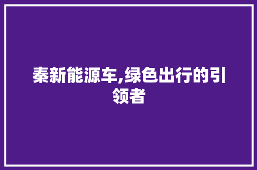 秦新能源车,绿色出行的引领者