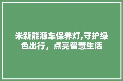 米新能源车保养灯,守护绿色出行，点亮智慧生活