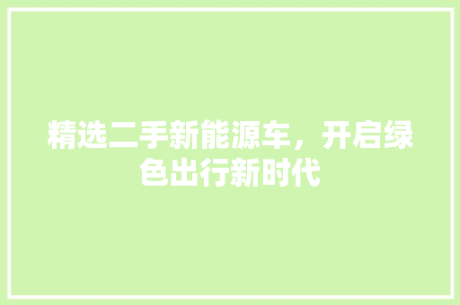 精选二手新能源车，开启绿色出行新时代