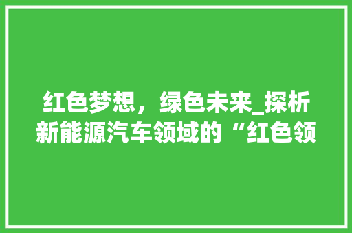 红色梦想，绿色未来_探析新能源汽车领域的“红色领航者”比亚迪 底盘配件