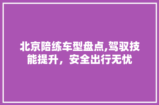 北京陪练车型盘点,驾驭技能提升，安全出行无忧
