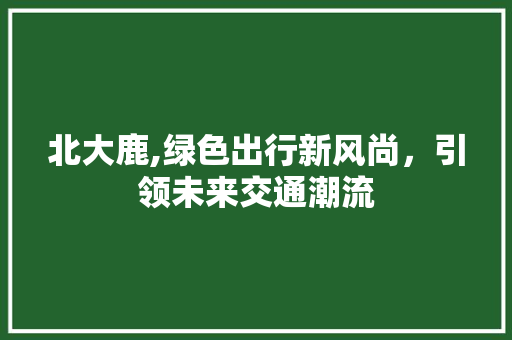 北大鹿,绿色出行新风尚，引领未来交通潮流