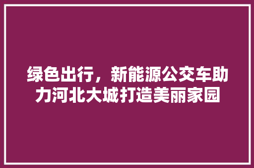 绿色出行，新能源公交车助力河北大城打造美丽家园