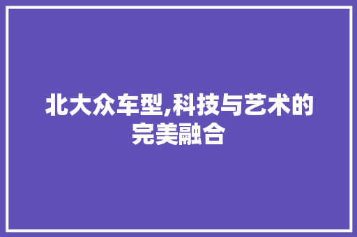 北大众车型,科技与艺术的完美融合