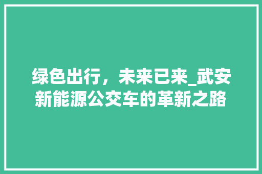 绿色出行，未来已来_武安新能源公交车的革新之路