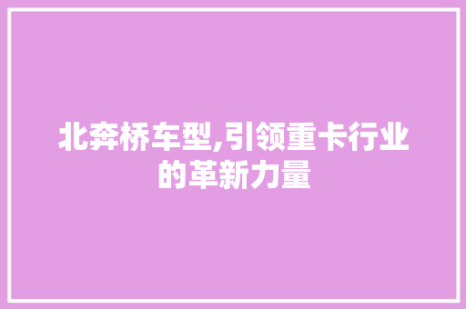 北奔桥车型,引领重卡行业的革新力量