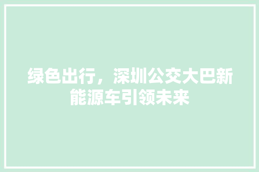 绿色出行，深圳公交大巴新能源车引领未来