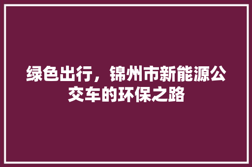 绿色出行，锦州市新能源公交车的环保之路