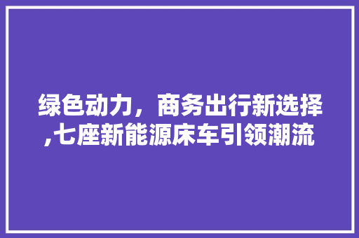 绿色动力，商务出行新选择,七座新能源床车引领潮流