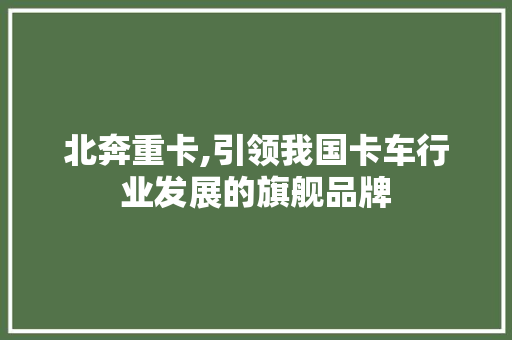 北奔重卡,引领我国卡车行业发展的旗舰品牌 底盘配件
