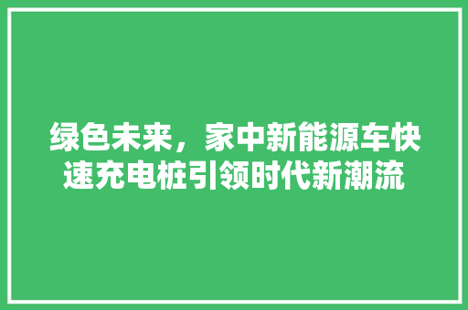 绿色未来，家中新能源车快速充电桩引领时代新潮流