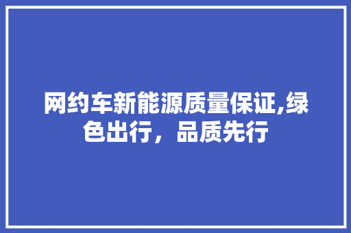 网约车新能源质量保证,绿色出行，品质先行