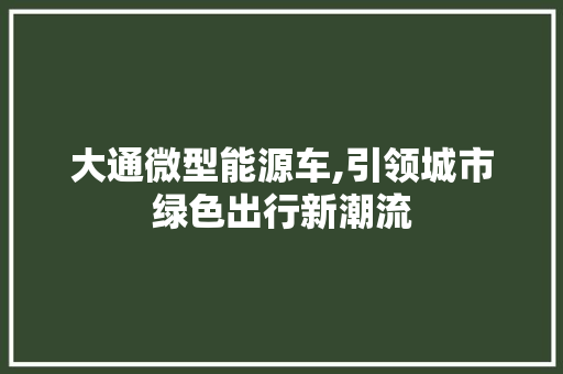 大通微型能源车,引领城市绿色出行新潮流