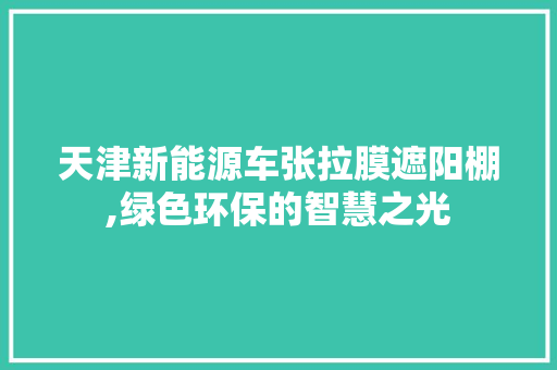 天津新能源车张拉膜遮阳棚,绿色环保的智慧之光