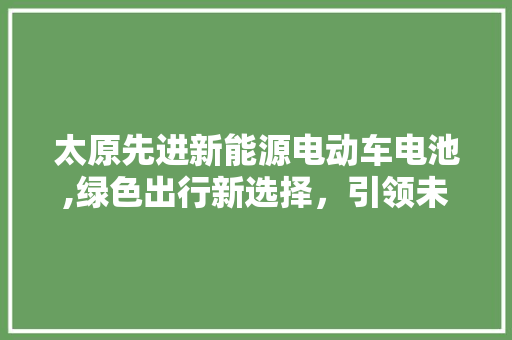 太原先进新能源电动车电池,绿色出行新选择，引领未来能源革命