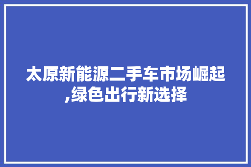 太原新能源二手车市场崛起,绿色出行新选择