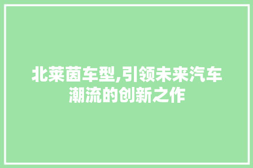 北莱茵车型,引领未来汽车潮流的创新之作