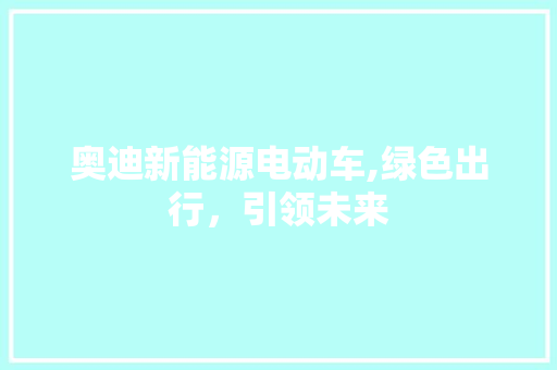 奥迪新能源电动车,绿色出行，引领未来