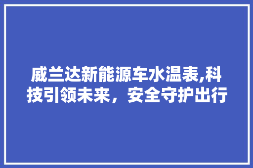 威兰达新能源车水温表,科技引领未来，安全守护出行