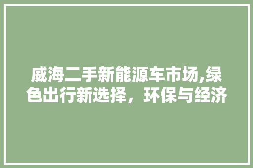 威海二手新能源车市场,绿色出行新选择，环保与经济的双赢之路