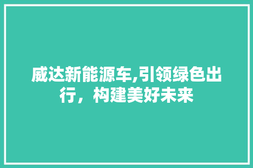 威达新能源车,引领绿色出行，构建美好未来