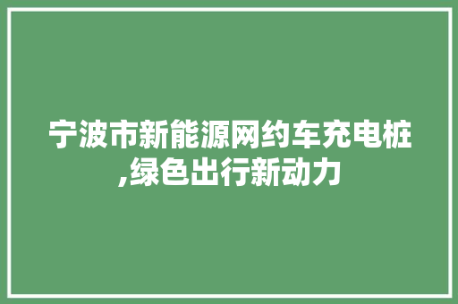 宁波市新能源网约车充电桩,绿色出行新动力
