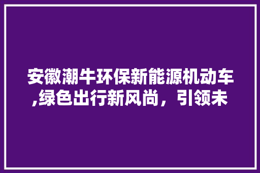 安徽潮牛环保新能源机动车,绿色出行新风尚，引领未来交通变革