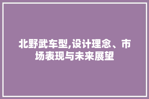 北野武车型,设计理念、市场表现与未来展望