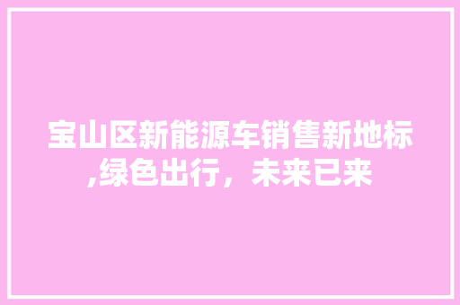 宝山区新能源车销售新地标,绿色出行，未来已来