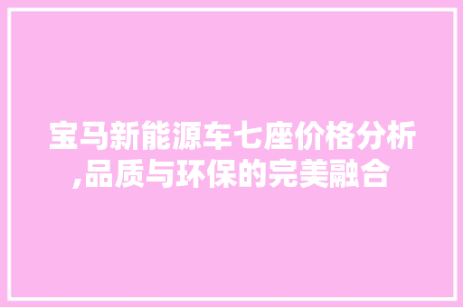 宝马新能源车七座价格分析,品质与环保的完美融合