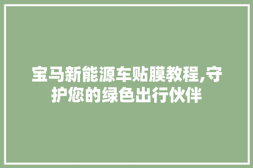 宝马新能源车贴膜教程,守护您的绿色出行伙伴