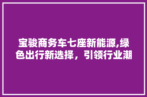宝骏商务车七座新能源,绿色出行新选择，引领行业潮流