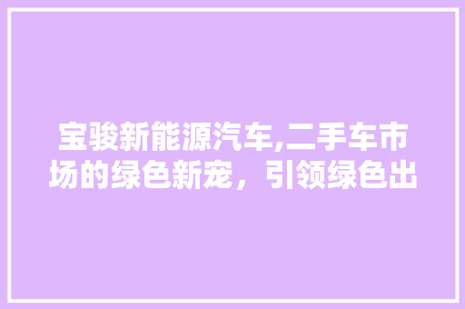 宝骏新能源汽车,二手车市场的绿色新宠，引领绿色出行新风尚 蓄电池配件