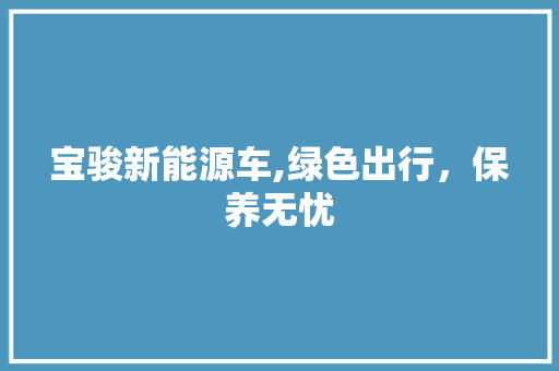 宝骏新能源车,绿色出行，保养无忧 汽车配件