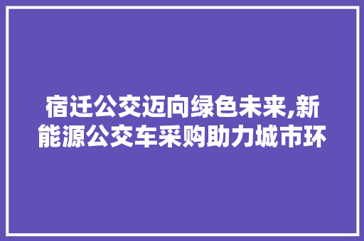 宿迁公交迈向绿色未来,新能源公交车采购助力城市环保升级