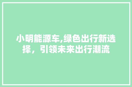 小明能源车,绿色出行新选择，引领未来出行潮流