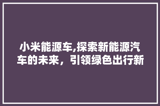 小米能源车,探索新能源汽车的未来，引领绿色出行新潮流