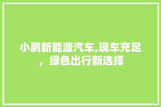 小鹏新能源汽车,现车充足，绿色出行新选择 蓄电池配件