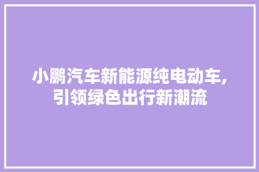 小鹏汽车新能源纯电动车,引领绿色出行新潮流