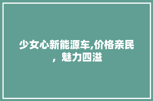 少女心新能源车,价格亲民，魅力四溢